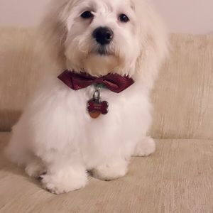 Meet your Posher, Cinthia